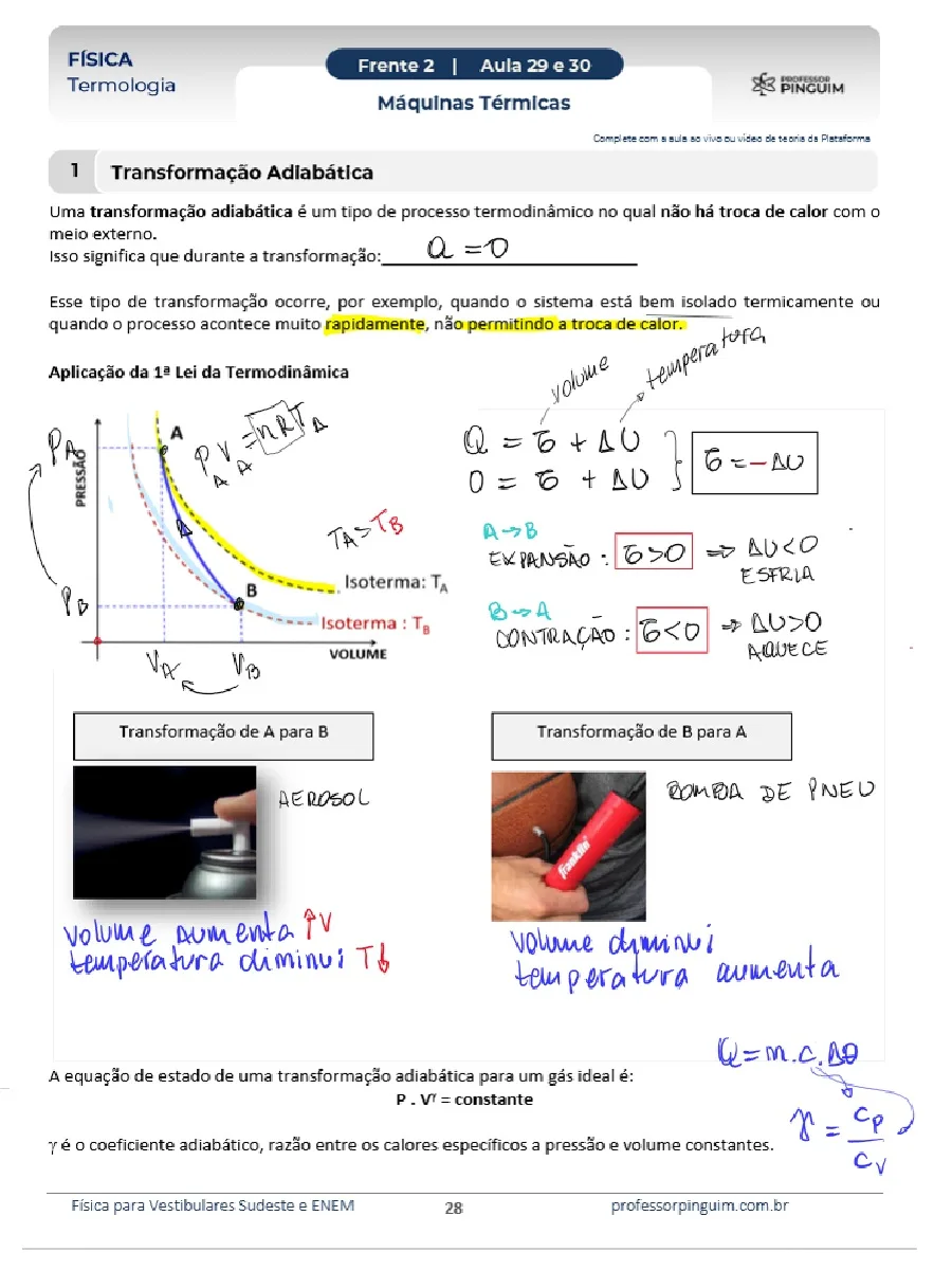 Página do material de Termologia do Intensivo, com o cabeçalho da marca Professor Pinguim