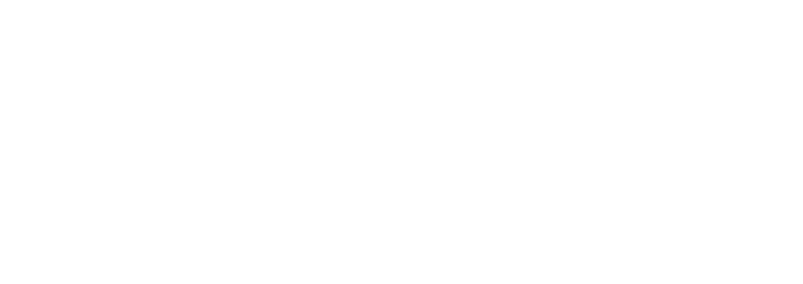 VUNESP