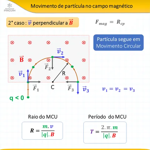 Card do resumo de Eletromagnetismo