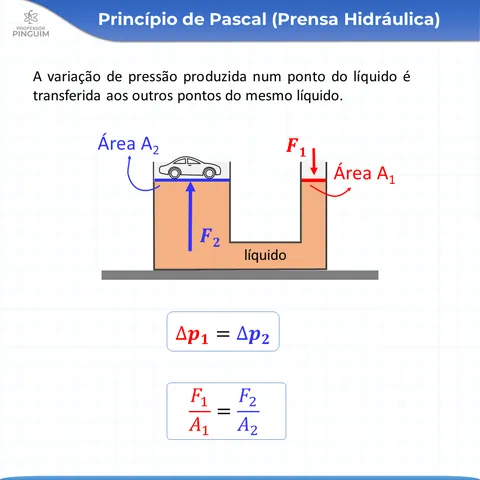 Card do resumo de Hidrostática