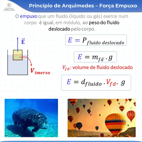 Card do resumo de Hidrostática