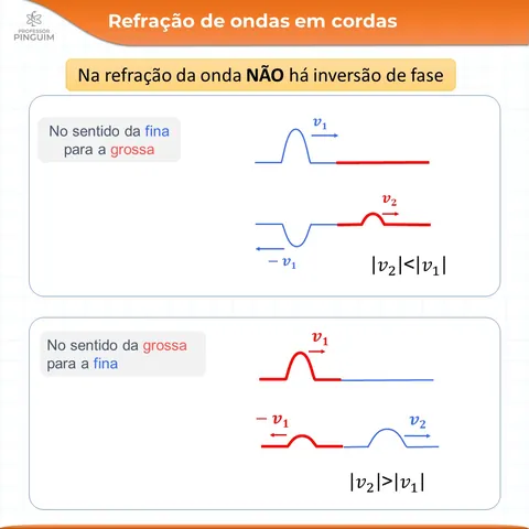 Card do resumo de Ondas