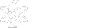 Professor Pinguim